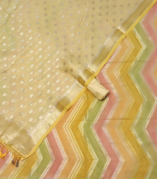Exclusive Banarasi Chiffon Georgette Suit Collection